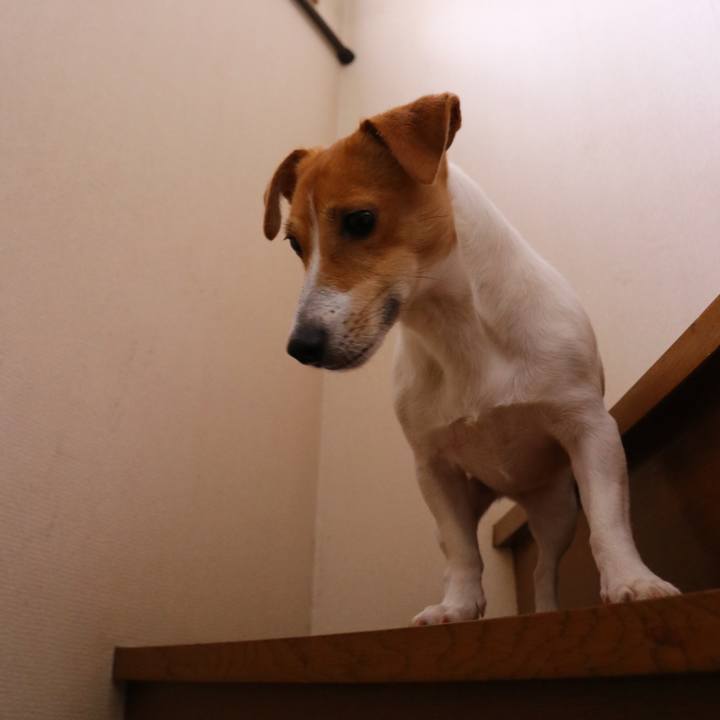 7aab4a9e 9e25 4a69 a5e3 724c782666be 1544609027748