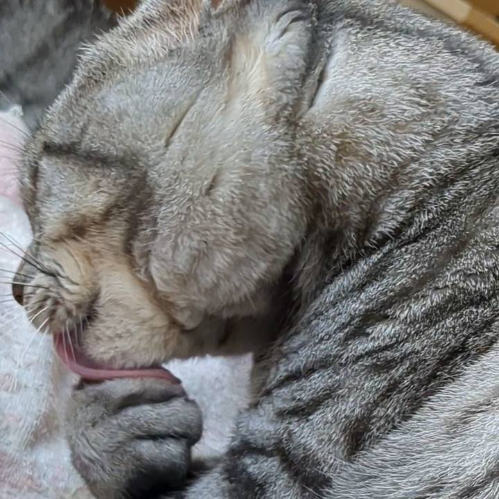 7aab8e30 1e29 411b a8d7 9d0be593e56e 1732887246501