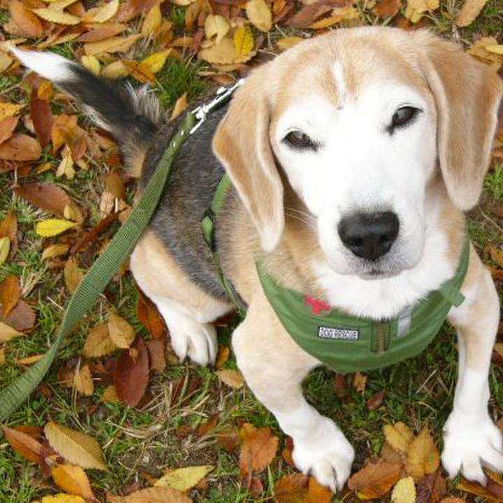 7aab96aa b022 4dfa 89f6 20a5d263f4b6 1672708176492