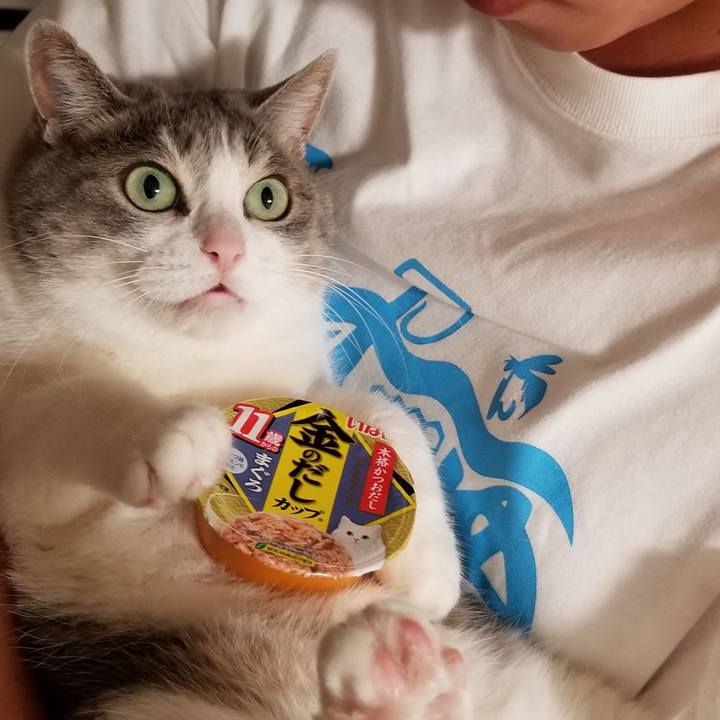 7aabe6a3 7547 4293 a2d0 21c66dac50c9 1692460019988