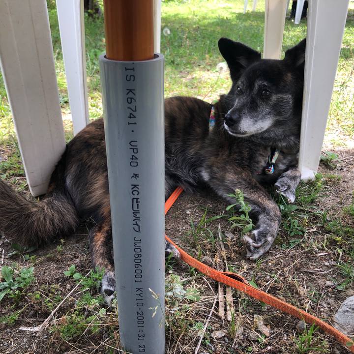 7aabfa6c ed00 44e7 b691 b33174107481 1685158354911