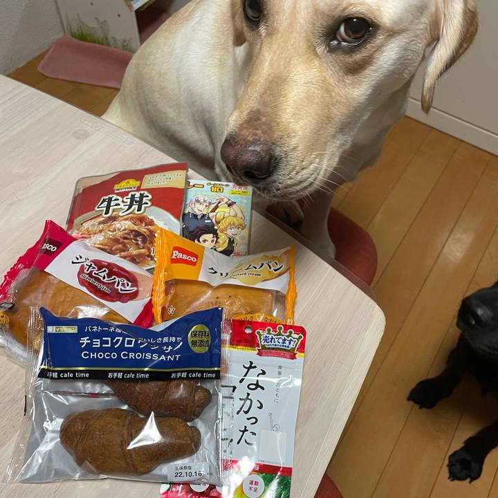 7aabfb88 c56c 49a6 a3c6 23b5200b04e5 1663494612656