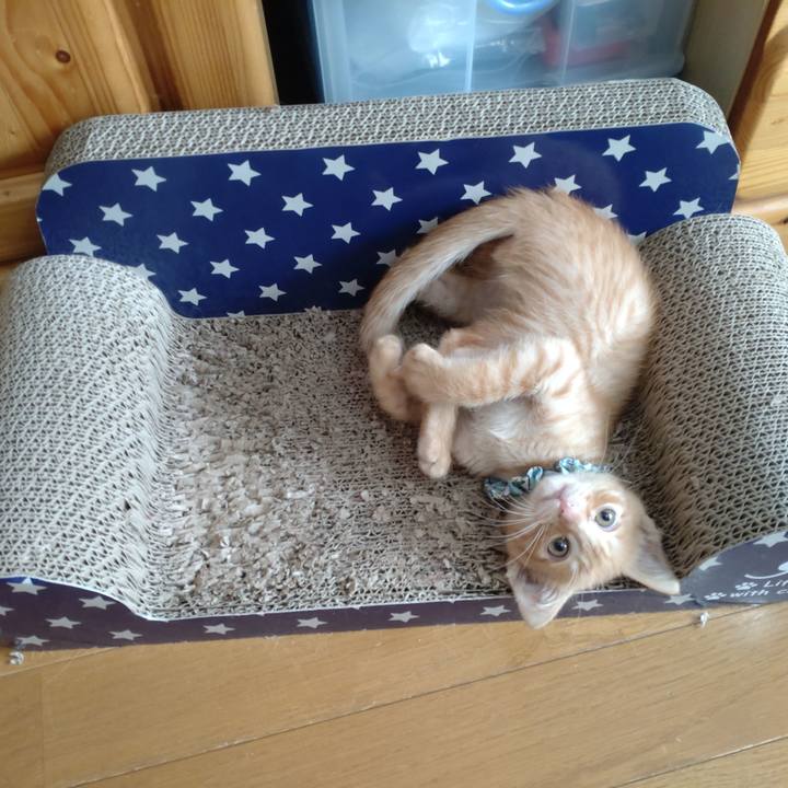 7aac1859 204f 4594 8bc4 2a795efadc61 1669949907143