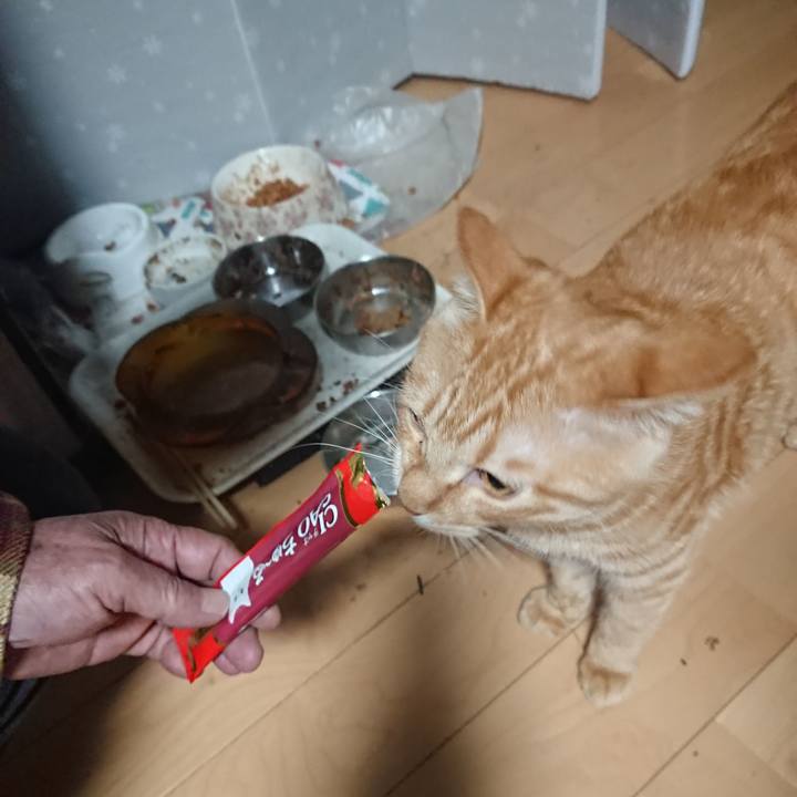 7aac28cb e408 4ff4 b29a 7d7a325ac5d0 1639606306268