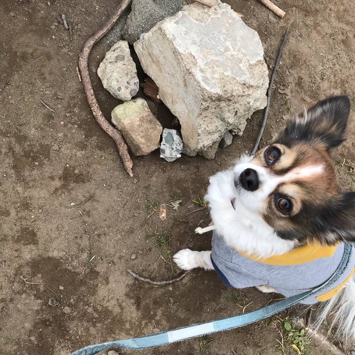 7aac4e55 ab41 4745 8448 b764fea450cc 1548642278902