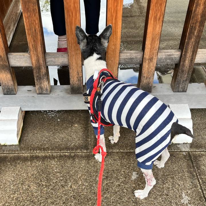 7aac8018 2b1e 4214 a1fa 9ac45fe1e3aa 1651283221195