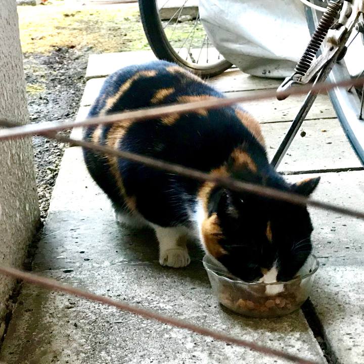 7aac81ba a640 40f2 8243 d63b4c22e8c5 1516167448988