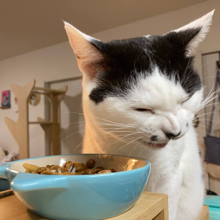 7aacb8f2 e67c 431f b7b4 8f3015cdb8a9 1764623009735