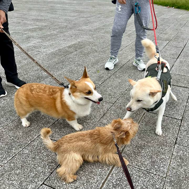 7aacbd37 a7a5 414c 8998 12a44d2311d2 1727064747880