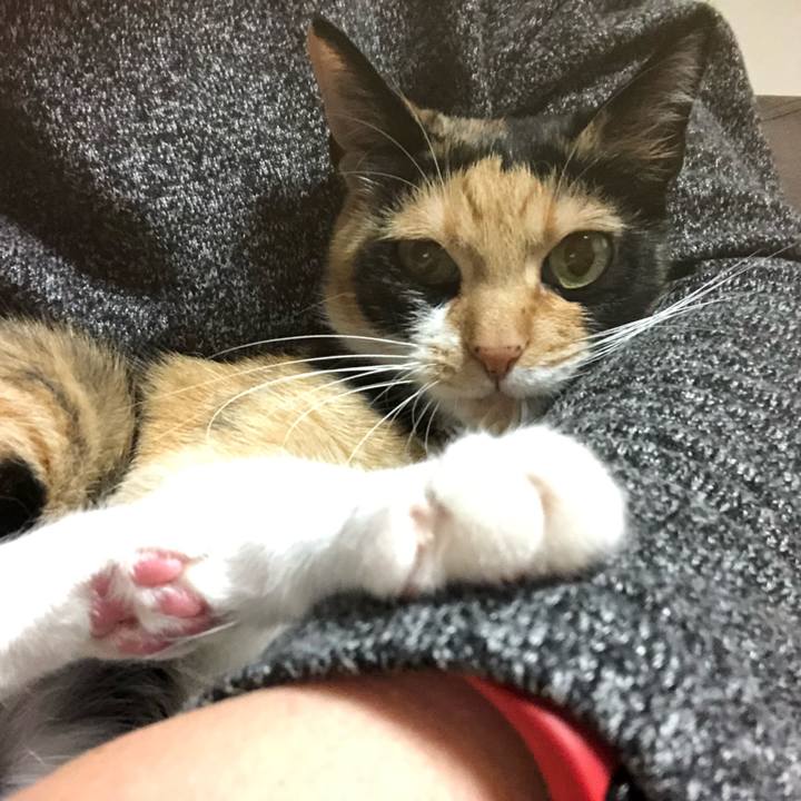 7aacbedd 0059 42ea a501 a0560f4a71c1 1558698140391