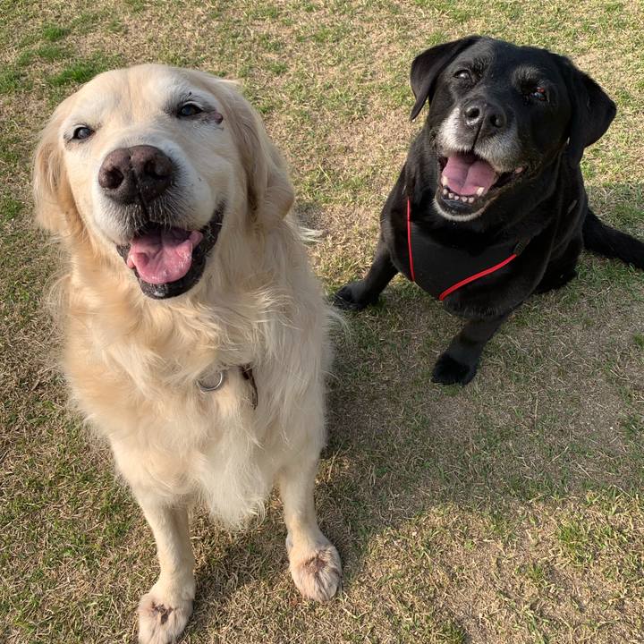 7aad18ad 3e62 43e5 9781 1e0ed38f9e96 1555802580622