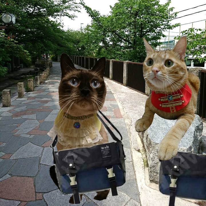 7aad2289 f2c3 4ab9 b4ce 37f07ea57193 1557868496761