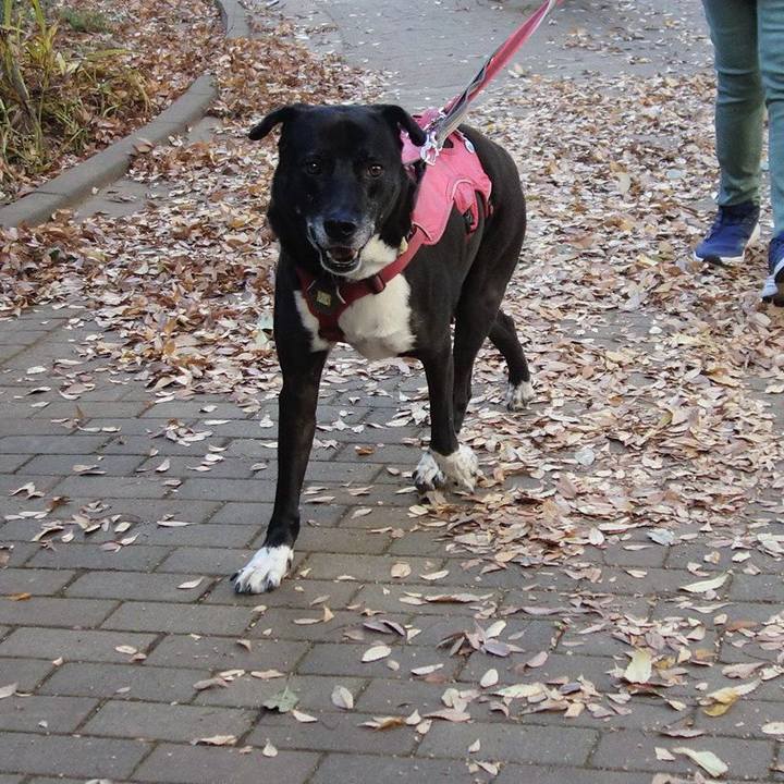 7aad2415 121c 4742 be00 46e73beeb87e 1699923927061