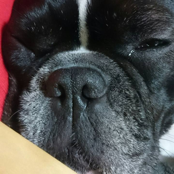 7aad40b5 ee8f 4237 b155 455d21e497ba 1524135084110