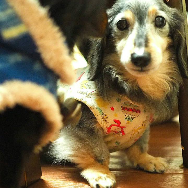 7aad692b 494d 4cc8 b653 64cb27ad5c07 1533599458316