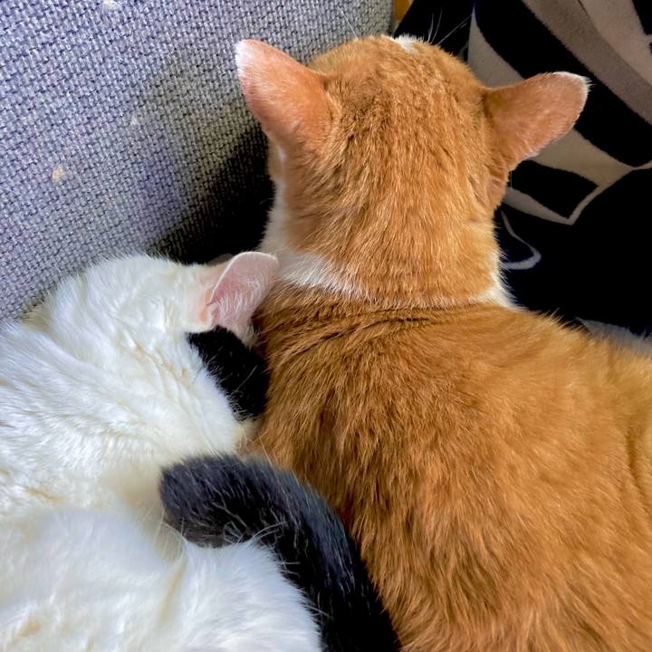 7aad6ff2 9955 46af aebc 6596fc285206 1663916900962