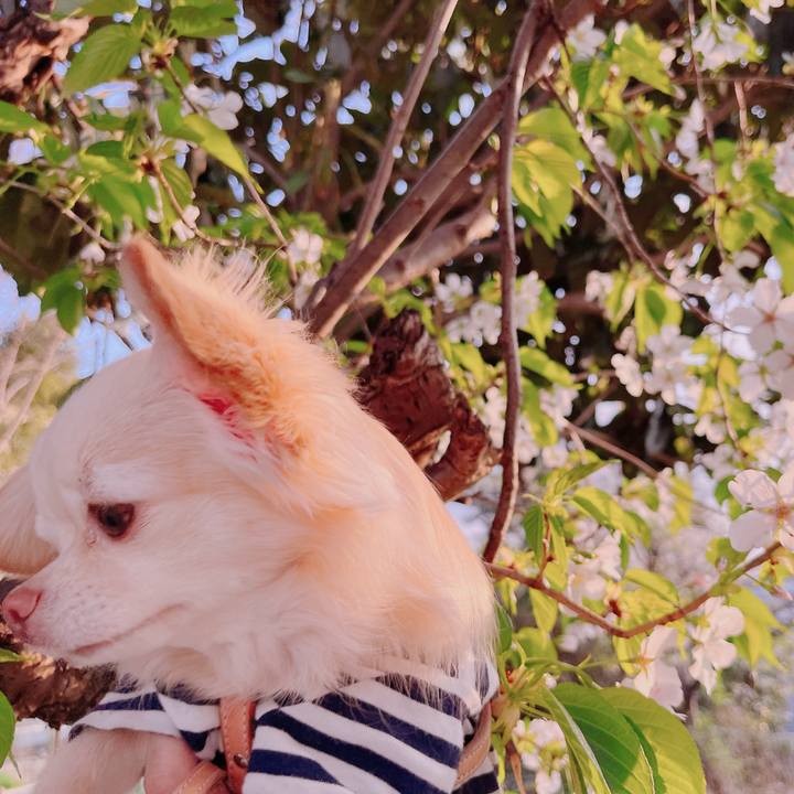 7aad88f6 01ca 436e be2e 29618195f04c 1679476784649