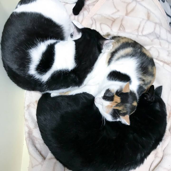 7aad9fc4 8972 4e72 9ca3 85e91a8e6beb 1514126631669