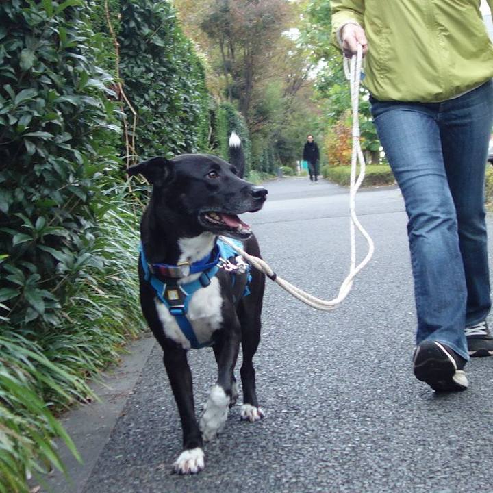 7aada97b f836 47d1 8bf4 936196788e74 1636859245995