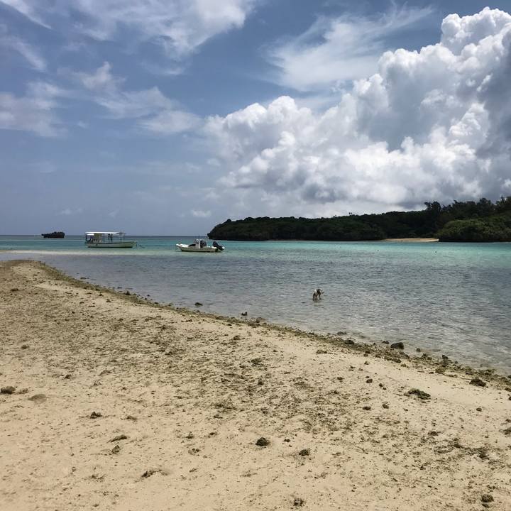 7aadb689 1b21 403c 92f7 a723d0ac52cc 1587212310644