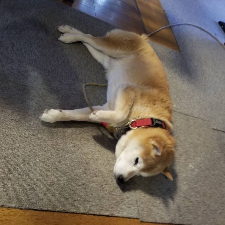 7aadcbb7 9d68 4d9b af6c e552cfb7e851 1733876330611