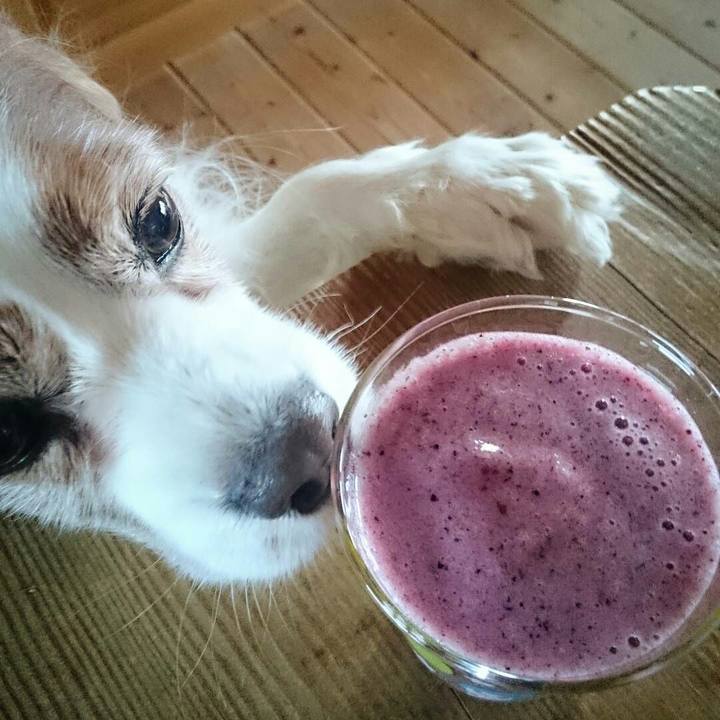 7aadcf55 60a2 45b4 a9ee 833f28dfdaa0 1519340007329