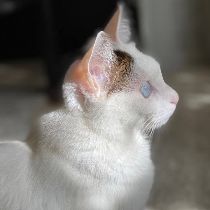 7aadcfe7 4ff0 4de3 9fe9 87921cadfd06 1575249386166