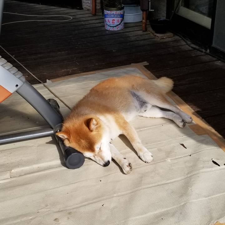 7aae0c33 3b08 45bd 99ff 8e013f2489b6 1531263952296