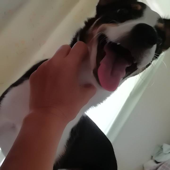 7aae190a 38ce 4a01 8264 e0ff8f546776 1565965435231