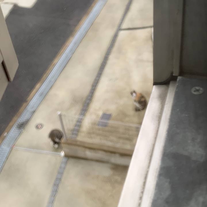 7aae1af9 75f2 4d78 b001 476f42aed0a3 1556174447987