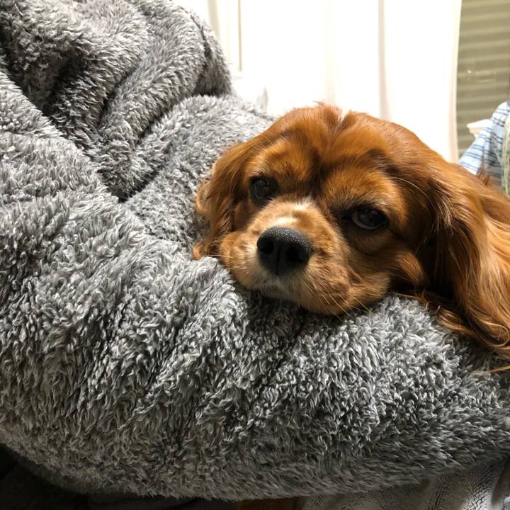 7aae3d9a 3b79 4fd4 aa32 7e09c46c9969 1641421875887