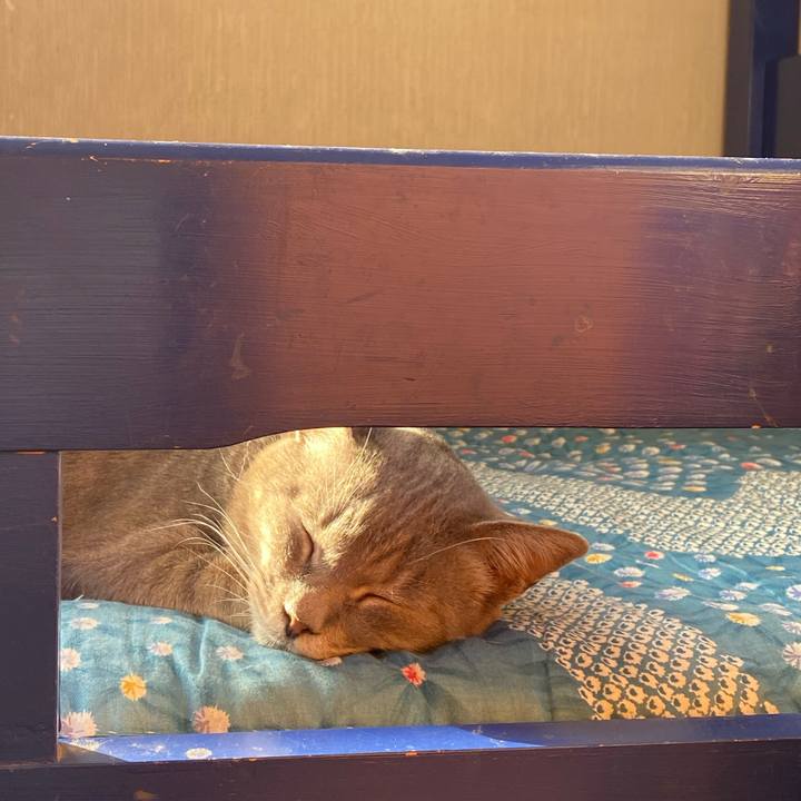 7aae3f01 7a4b 4a3b 8a69 fa001c7a2f84 1589443595383