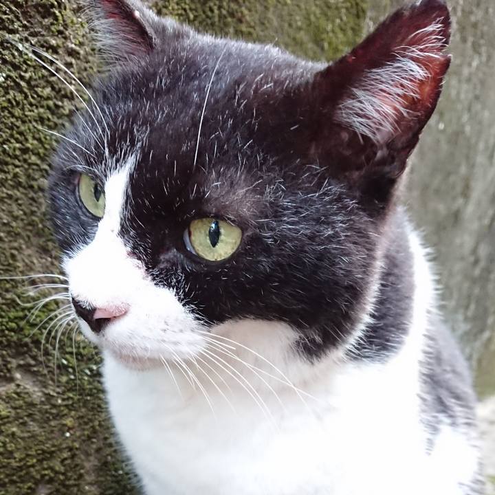 7aaeaa98 0863 4cc6 a8e4 a4e9ea6aca0b 1627549119133