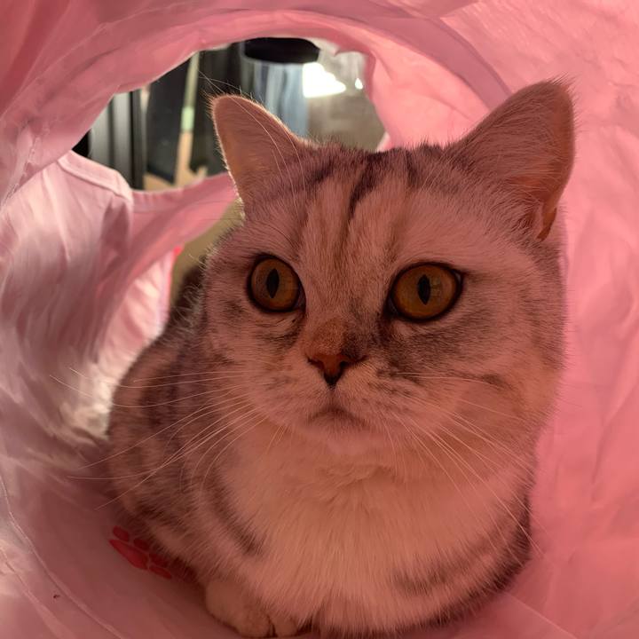 7aaee3cc 3cb2 4ffc 88fe ba8e2f40d452 1709337849308