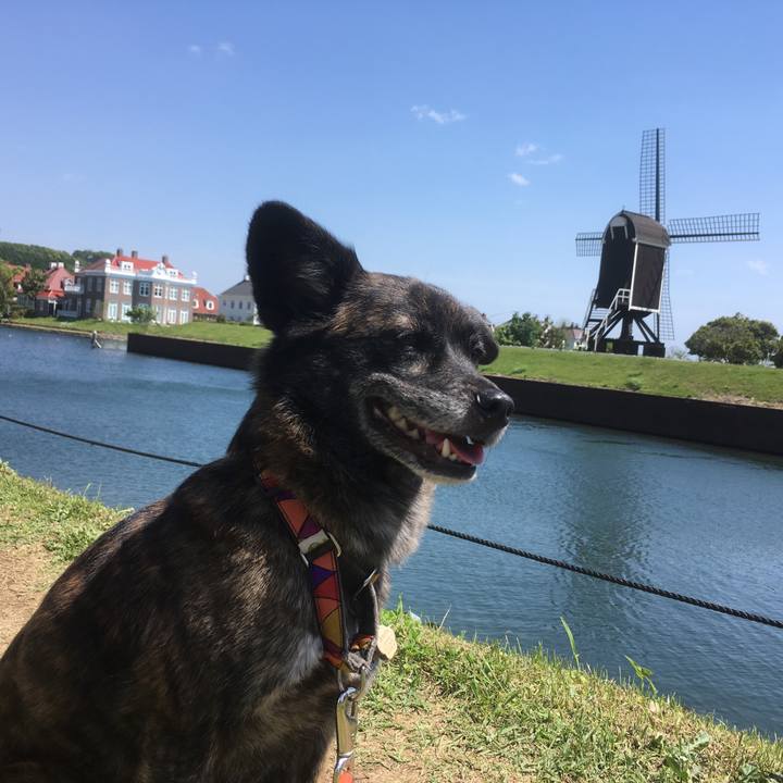 7aaee4dd ba85 4575 a0f3 2a498898811a 1527593500501