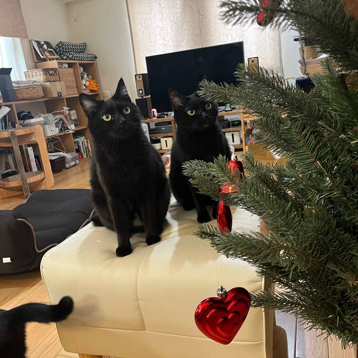 7aaeee11 b8d4 4954 ae7f a82ff3bc0c08 1703379946121