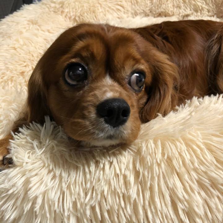 7aaf1aa1 60e9 4025 90ca 83e1fec07ba5 1615897638493