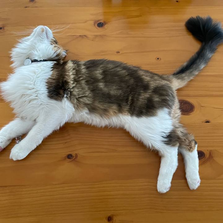 7aaf2939 f169 4b47 b99e 7b47fe780531 1665185950450