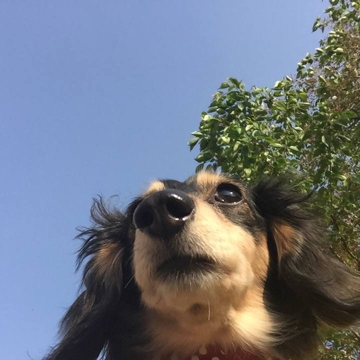 7aaf3396 b001 4a96 a81a cd53e0fca32f 1523344832060