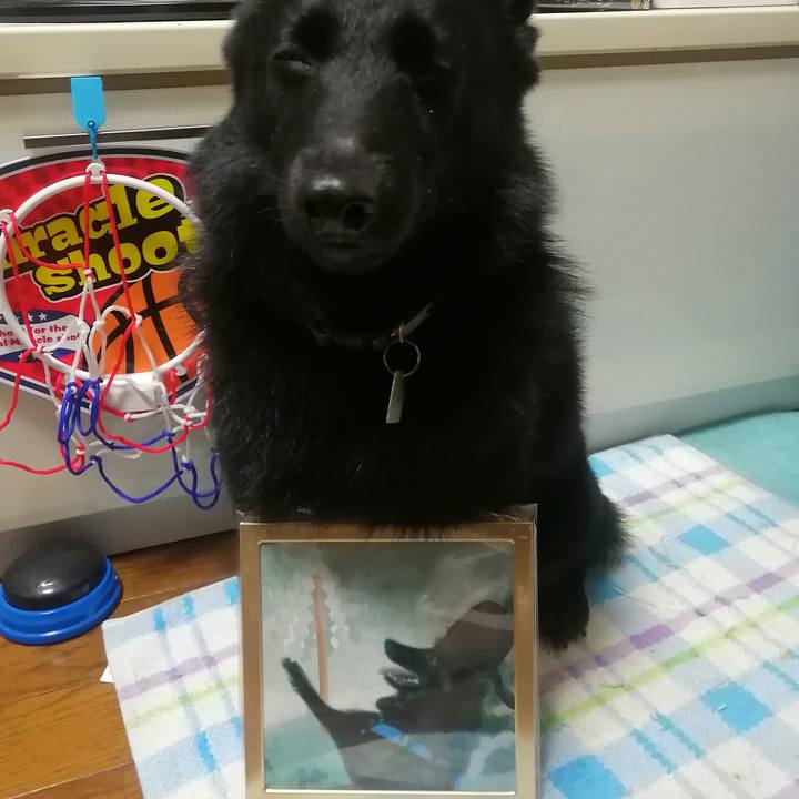 7aaf7690 d16f 4b1b b0ef b9697f0f003e 1664540795813