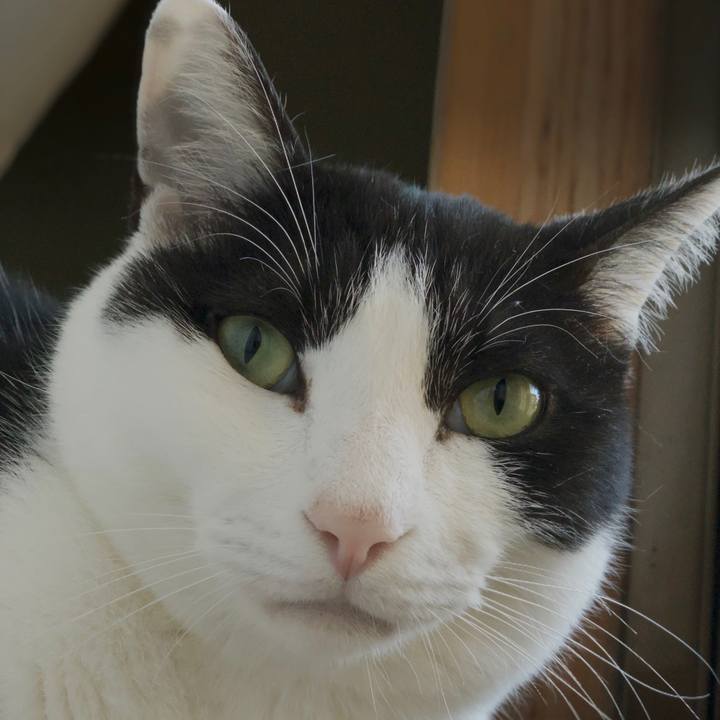 7aaf7fc1 51c1 42dc 9fd3 b282686b17dc 1553306260564