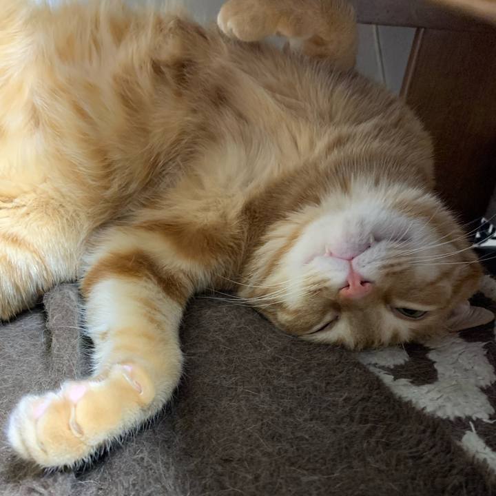 7aaf802a cb94 4119 8da2 1e6eccc268c3 1581462122844