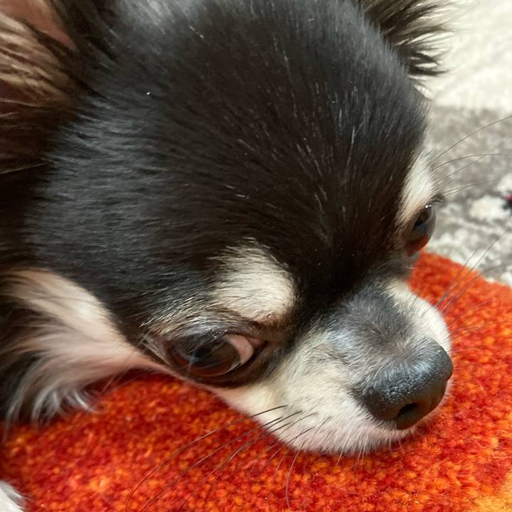 7aafa280 3ffc 4e49 9528 067cd57ee9d3 1609255671274