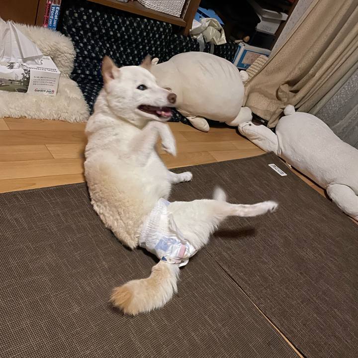 7aafc1b9 ba4c 498f 9d55 d611f2178462 1664033318080