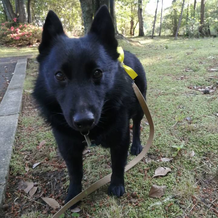 7aafd2eb 2455 4e7d 8214 fb9b888b3a73 1653688117113