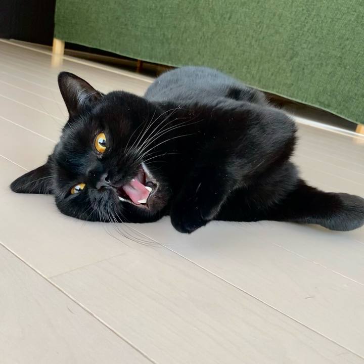 7aaff982 bc2b 4ecd a4b1 240057d1ea08 1640294725484