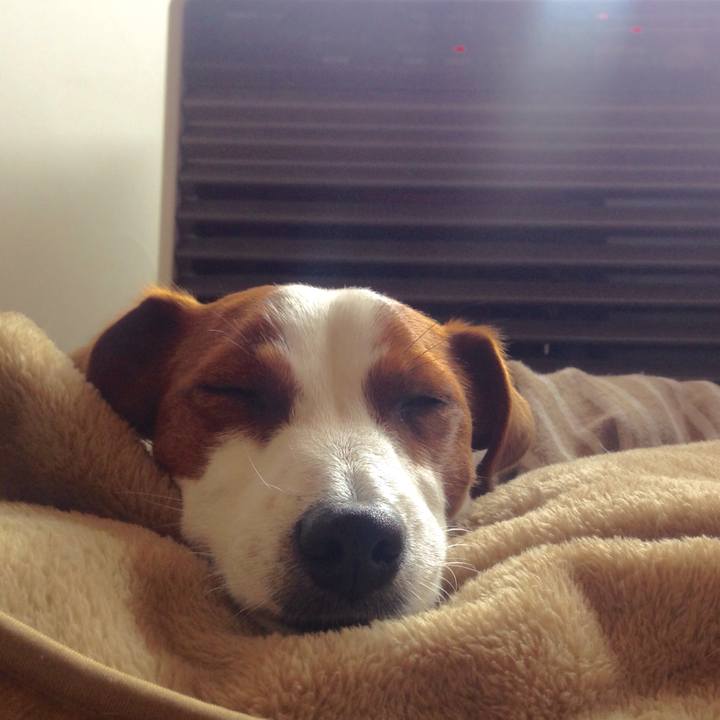 7ab02ca9 490b 451d b27b c74b97f13c1f 1519198585278