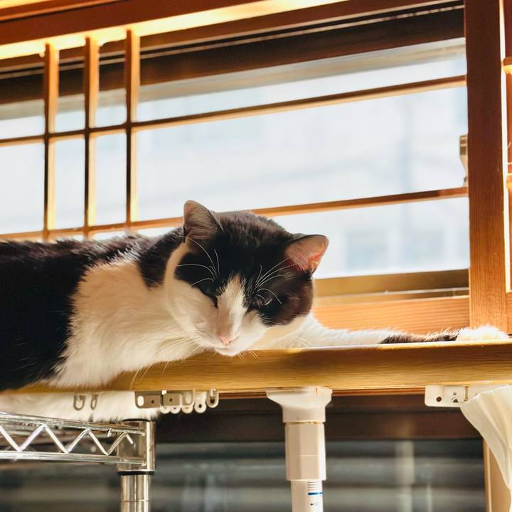 7ab0454c d863 4b41 8314 f18f1b929c4e 1683682672888