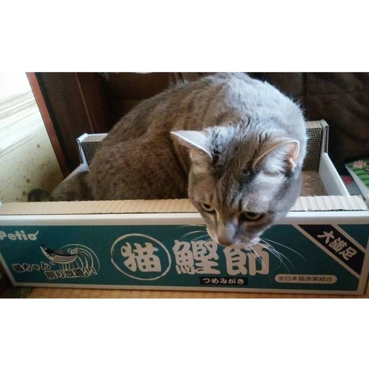 7ab052a9 92c7 42e8 a30b 42b8ea146df9 1522902470205