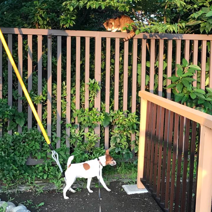 7ab06da4 2404 4dd0 a393 a3d00d8aa66b 1529180631132